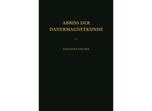 9783642854880 - Abriss der Dauermagnetkunde - Johannes Fischer Kartoniert (TB)