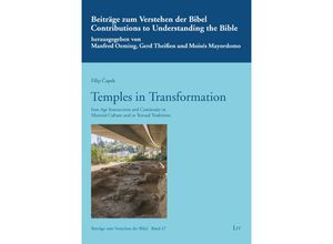 9783643913982 - Temples in Transformation - Filip Capek Kartoniert (TB)