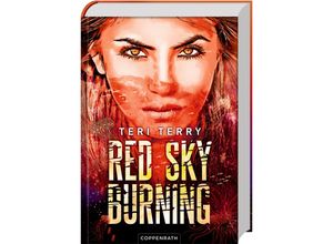 9783649638728 - Teri Terry - GEBRAUCHT Red Sky Burning (Bd 2) (Dark Blue Rising Band 2) - Preis vom 22102023 045847 h