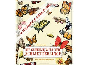 9783649645368 - Die geheime Welt der Schmetterlinge - Rena Ortega Gebunden