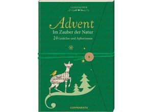 9783649645597 - Niessen Susan Brief-Adventskalenderbuch - Advent im Zauber der Natur