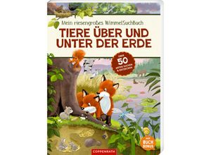 9783649647386 - Mein riesengroßes WimmelSuchBuch Tiere über und unter der Erde Pappband