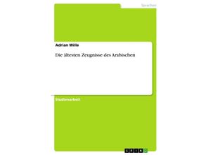 9783656085874 - Die ältesten Zeugnisse des Arabischen - Adrian Wille Kartoniert (TB)