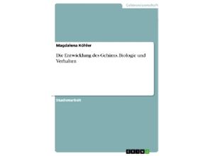 9783656950455 - Akademische Schriftenreihe   V298687   Die Entwicklung des Gehirns Biologie und Verhalten - Magdalena Köhler Kartoniert (TB)