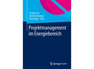 9783658002664 - Projektmanagement im Energiebereich Kartoniert (TB)