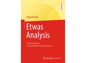 9783658057985 - Etwas Analysis - Jürgen Pöschel Kartoniert (TB)