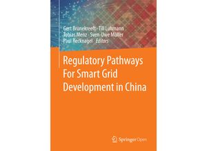 9783658084622 - Regulatory Pathways For Smart Grid Development in China Kartoniert (TB)