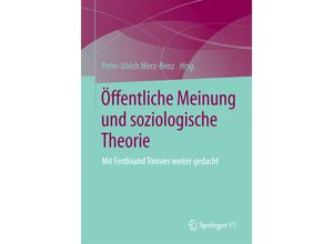 9783658094461 - Öffentliche Meinung und soziologische Theorie Kartoniert (TB)