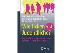 9783658125325 - Wie ticken Jugendliche 2016? - Marc Calmbach Silke Borgstedt Inga Borchard Peter Martin Thomas Berthold Bodo Flaig Kartoniert (TB)