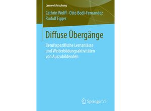 9783658130817 - Diffuse Übergänge - Cathrin Wolff Otto Bodi-Fernandez Rudolf Egger Kartoniert (TB)