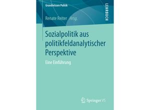 9783658146559 - Grundwissen Politik   Sozialpolitik aus politikfeldanalytischer Perspektive Kartoniert (TB)