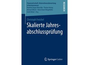 9783658152338 - Finanzwirtschaft Unternehmensbewertung & Revisionswesen   Skalierte Jahresabschlussprüfung - Christoph Freichel Kartoniert (TB)