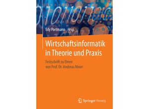 9783658176129 - Wirtschaftsinformatik in Theorie und Praxis Kartoniert (TB)