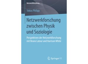 9783658176860 - Netzwerkforschung   Netzwerkforschung zwischen Physik und Soziologie - Tobias Philipp Kartoniert (TB)