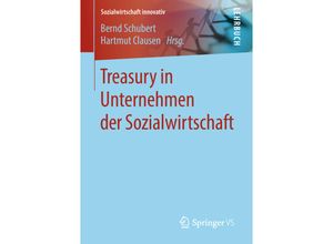 9783658203108 - Sozialwirtschaft innovativ   Treasury in Unternehmen der Sozialwirtschaft Kartoniert (TB)