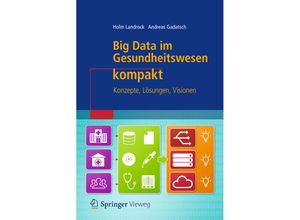 9783658210953 - IT kompakt   Big Data im Gesundheitswesen kompakt - Holm Landrock Andreas Gadatsch Kartoniert (TB)