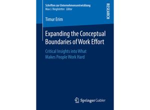 9783658233150 - Schriften zur Unternehmensentwicklung   Expanding the Conceptual Boundaries of Work Effort - Timur Erim Kartoniert (TB)