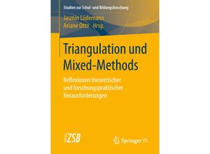 9783658242244 - Triangulation und Mixed-Methods Kartoniert (TB)