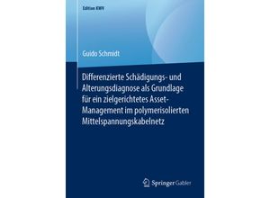 9783658246839 - Edition KWV   Differenzierte Schädigungs- und Alterungsdiagnose als Grundlage für ein zielgerichtetes Asset-Management im polymerisolierten Mittelspannungskabelnetz - Guido Schmidt Kartoniert (TB)