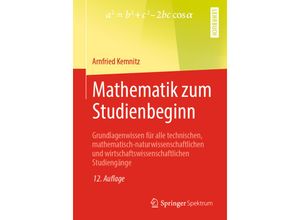 9783658266035 - Mathematik zum Studienbeginn - Arnfried Kemnitz Kartoniert (TB)