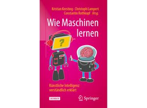 9783658267629 - Sachbuch   Wie Maschinen lernen Kartoniert (TB)