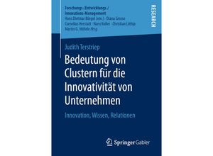 9783658278175 - Forschungs- Entwicklungs- Innovations-Management   Bedeutung von Clustern für die Innovativität von Unternehmen - Judith Terstriep Kartoniert (TB)