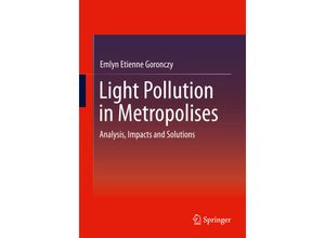 9783658297220 - Light Pollution in Metropolises - Emlyn Etienne Goronczy Kartoniert (TB)