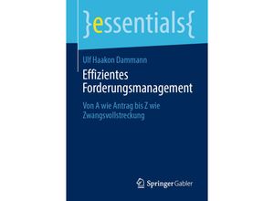 9783658301811 - essentials   Effizientes Forderungsmanagement - Ulf Haakon Dammann Kartoniert (TB)