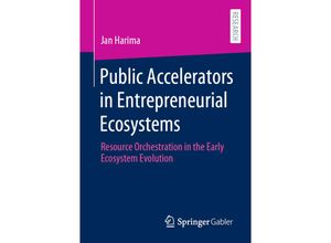 9783658316549 - Public Accelerators in Entrepreneurial Ecosystems - Jan Harima Kartoniert (TB)