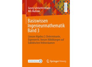 9783658395995 - Basiswissen Ingenieurmathematik Band 3 - Georg Schlüchtermann Nils Mahnke Kartoniert (TB)