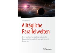 9783658411633 - Alltägliche Parallelwelten - Lilo Endriss Kartoniert (TB)