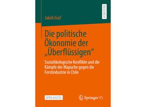 9783658435356 - Die politische Ökonomie der Überflüssigen - Jakob Graf Kartoniert (TB)