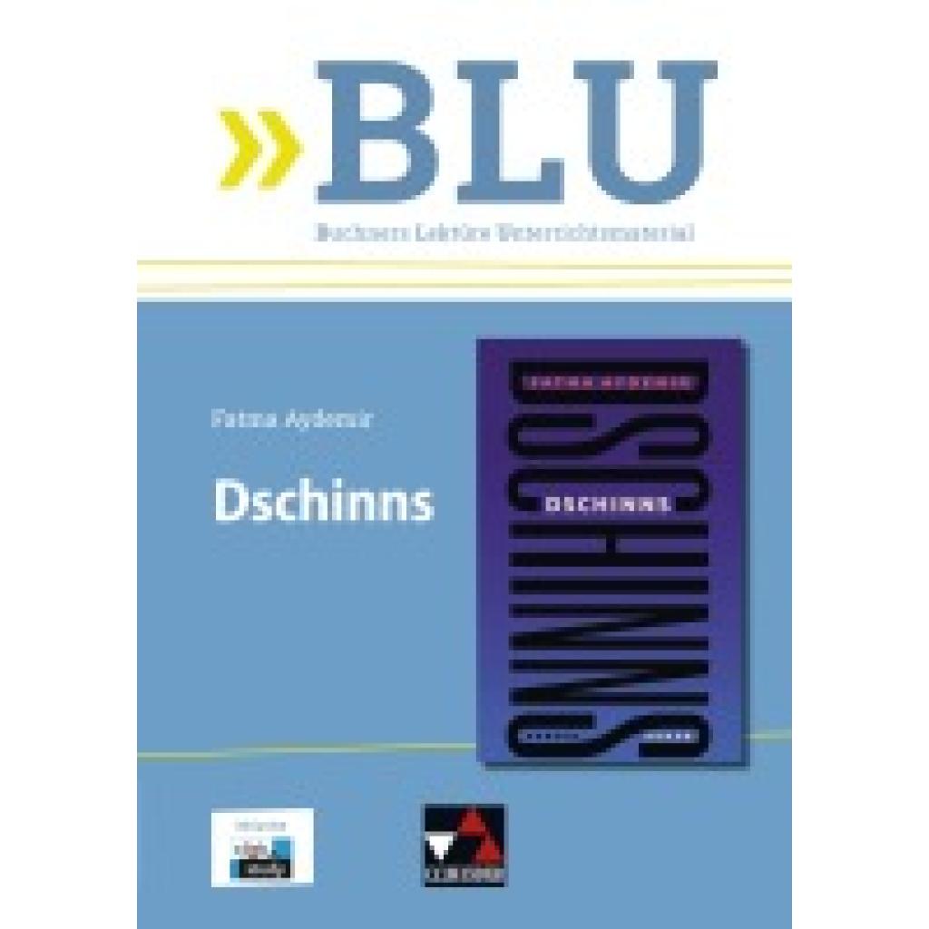 9783661125022 - Aydemir Dschinns