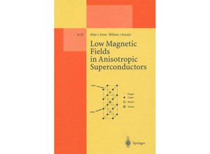 9783662140369 - Low Magnetic Fields in Anisotropic Superconductors - Allan J Greer William J Kossler Kartoniert (TB)