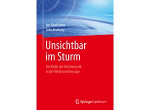 9783662482537 - Unsichtbar im Sturm - Ian Roulstone John Norbury Kartoniert (TB)