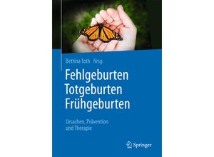 9783662504239 - Fehlgeburten Totgeburten Frühgeburten Kartoniert (TB)