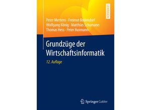 9783662533611 - Grundzüge der Wirtschaftsinformatik - Peter Mertens Freimut Bodendorf Wolfgang König Matthias Schumann Thomas Heß Peter Buxmann Kartoniert (TB)