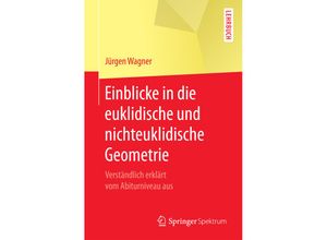 9783662540718 - Einblicke in die euklidische und nichteuklidische Geometrie - Jürgen Wagner Kartoniert (TB)