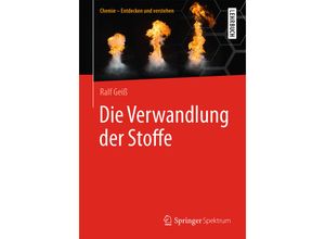 9783662547076 - Chemie - Entdecken und verstehen   Die Verwandlung der Stoffe - Ralf Geiß Kartoniert (TB)