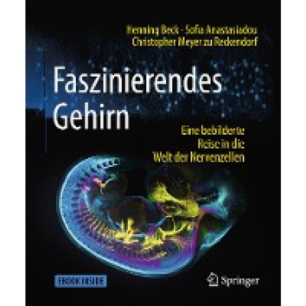 9783662547557 - Beck Henning Faszinierendes Gehirn