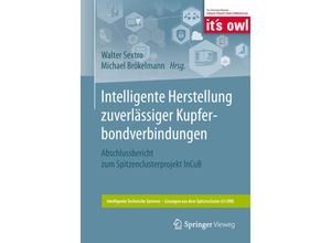 9783662551455 - Intelligente Technische Systeme - Lösungen aus dem Spitzencluster its OWL   Intelligente Herstellung zuverlässiger Kupferbondverbindungen Kartoniert (TB)