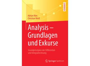 9783662555378 - Analysis - Grundlagen und Exkurse - Adrian Hirn Christian Weiß Kartoniert (TB)