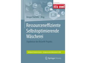 9783662563892 - Intelligente Technische Systeme - Lösungen aus dem Spitzencluster its OWL   Ressourceneffiziente Selbstoptimierende Wäscherei Kartoniert (TB)