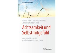 9783662603178 - Psychotherapie Praxis   Achtsamkeit und Selbstmitgefühl Kartoniert (TB)