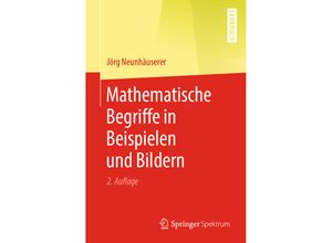 9783662607633 - Mathematische Begriffe in Beispielen und Bildern - Jörg Neunhäuserer Kartoniert (TB)