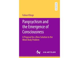 9783662622575 - Panpsychism and the Emergence of Consciousness - Fabian Klinge Kartoniert (TB)