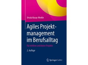 9783662628096 - Agiles Projektmanagement im Berufsalltag - Ursula Kusay-Merkle Kartoniert (TB)