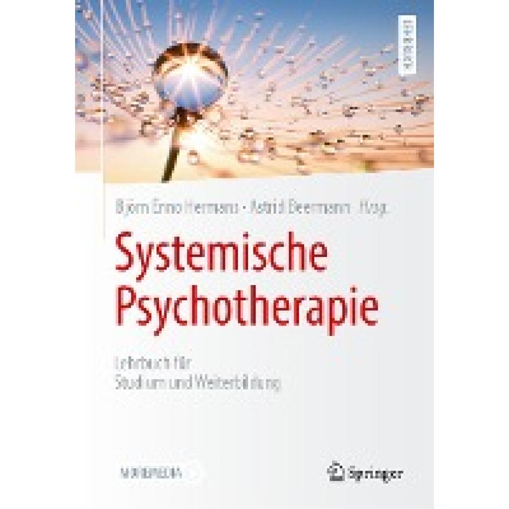 9783662647271 - Systemische Psychotherapie