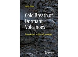 9783662653746 - Cold Breath of Dormant Volcanoes - Hardy Pfanz Kartoniert (TB)