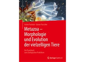 9783662661833 - Metazoa - Morphologie und Evolution der vielzelligen Tiere - Günter Purschke Achim Paululat Kartoniert (TB)